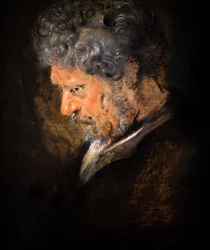 Studie av en gammel manns hode: venstre profil (detalj)