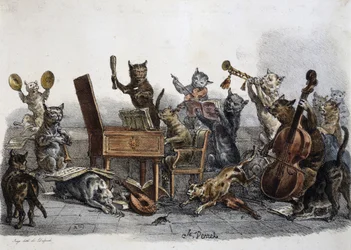 En amatørkonsert, karikatur av katter som spiller musikkinstrumenter, gravering av Carle Vernet (1758-1836), Frankrike