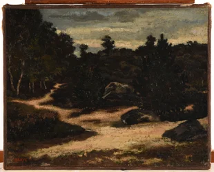 Sandsti i Fontainebleau-skogen