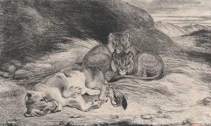Løvinne og unger, muligens 1832.