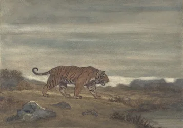 Tigeren nærmer seg bassenget, 1810-75.