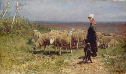 Gjeterinne (olje på lerret)