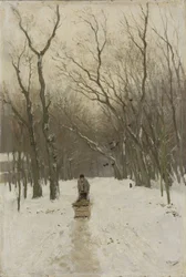Vinter i Scheveningen-skogen
