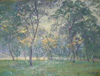 Kveld i Isonzo-dalen