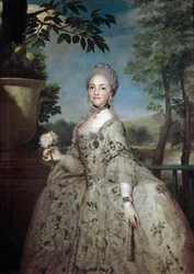 Portrett av Marie Louise av Parma, prinsesse av Asturias (olje på lerret