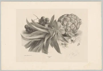 Ananas og druer Flower and Fruit Studies (...) 10. episode (serietittel)