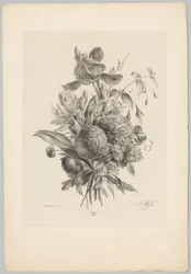 Nelliker og liljer Flower and Fruit Studies (...) 10. episode (serietittel)
