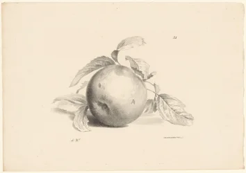 Appel Frukt (serietittel)