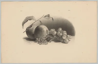 Epler, bær, bjørnebær og druer Flower and Fruit Studies (...) 3. episode (serietittel)