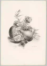 Blomster, epler, pære, granateple og bjørnebær Flower and Fruit Studies (...) 10. episode (serietittel)