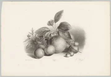 Blomster, nektariner og hasselnøtter Flower and Fruit Studies (...) 10. episode (serietittel)