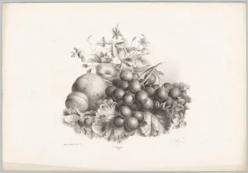 Blomster, fersken, nektarin, druer og bjørnebær Flower and Fruit Studies (...) 10. episode (serietittel)