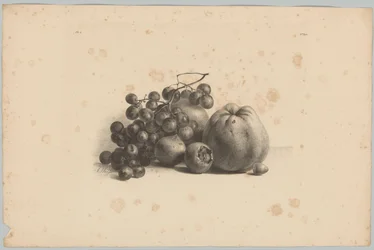 Druer og epler Flower and Fruit Studies (...) 3. episode (serietittel)