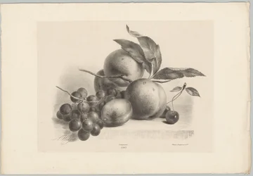 Druer, plommer, fersken og kirsebær Flower and Fruit Studies (...) 10. episode (serietittel)
