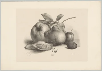 Frukt, plommer og østers Flower and Fruit Studies (...) 10. episode (serietittel)