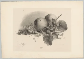 Fersken, bær, hasselnøtter og bjørnebær Flower and Fruit Studies (...) 10. episode (serietittel)