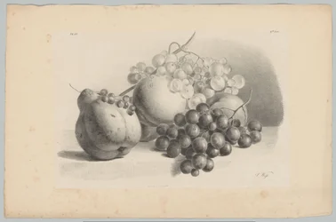 Gresskar, bær, druer og fersken Flower and Fruit Studies (...) 3. episode (serietittel)