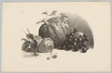 Gresskar, druer, rose og jordbær Flower and Fruit Studies (...) 3. episode (serietittel)