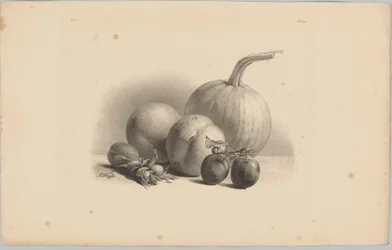 Gresskar, fersken, aprikos, plommer og hasselnøtter Flower and Fruit Studies (...) 3. episode (serietittel)