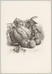 Gresskar, tomater og kirsebær Flower and Fruit Studies (...) 10. episode (serietittel)