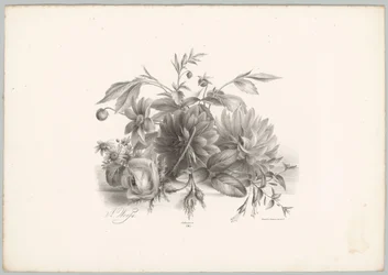 Roser, georginer og fuchsia Flower and Fruit Studies (...) 10. episode (serietittel)