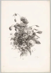 Roser og andre blomster Flower and Fruit Studies (...) 10. episode (serietittel)