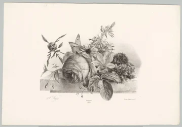 Roser, liljer, klokkeformede blomster og sommerfugl Flower and Fruit Studies (...) 10. episode (serietittel)