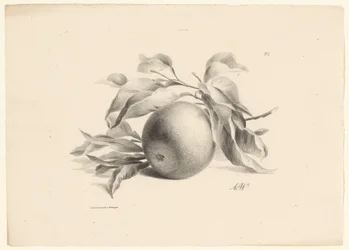 oransje Frukt (serietittel)