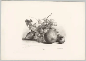 Fiken, druer og appelsin Flower and Fruit Studies (...) 10. episode (serietittel)