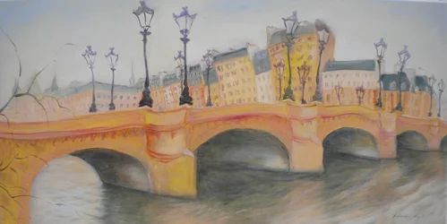 Pont Neuf og Ile de la Cite, 2010