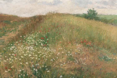 Sommeren, 1897.
