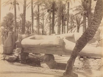 Statue av Ramesses ved Saqqara
