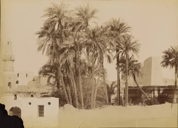 [Landsbyen og pylonen i Edfu] / [Landsbyen og pylonen i Edfou]