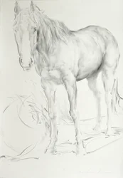 Horse at Coolmore, 1990 (kull på papir)