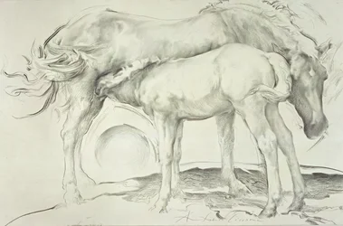 Horses at Coolmore, 1990 (kull på papir)