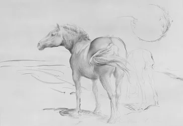Horses at Coolmore, 1990 (kull på papir)