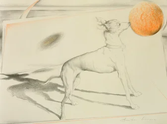 Space Dog (kull og pastell på papir)