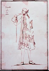 Portrett av Carlo Broschi kalt Farinelli (1705-1782) Italiensk castrato (castrat) Tegneserie av Anton Maria Zanetti (1680-1767). 18. århundre. Privat samling.
