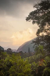 Serra dos Órgãos VIII, Petropolis, Rio de Janeiro, Brasil, 2025 (fotografi)