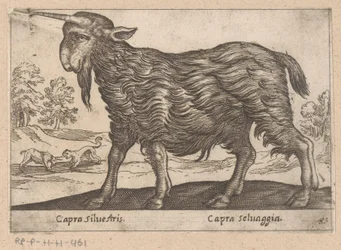 Geit med ett horn Capra Silvestris/ Capra Selvaggia (tittel på objekt) Dieren en fablewezens (serietittel) Ny samling av verdens mest nysgjerrige dyr (serietittel)