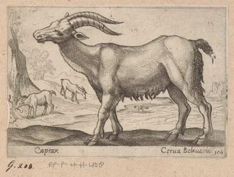 Edelstener Caprax/ Cerua Belzuaria (tittel på objekt) Dieren en fablewezens (serietittel) Ny samling av verdens mest nysgjerrige dyr (serietittel)