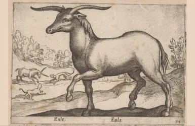 Hest med horn Eale/Eale (tittel på objekt) Dyr og mytiske skapninger (serietittel) Nova raccolta de li animali piu curiosi del mondo (serietittel)