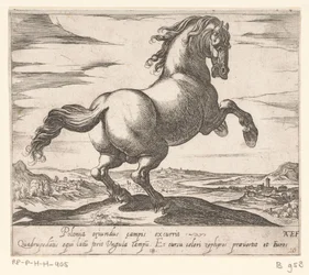 Steigerend paard naar rechts gewend Paarden uit verschiedelden landen (serietittel) Med disse lederne vil du bli feiret som en leder med viroru-munn.
