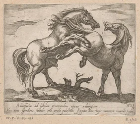 Twee parende paarden Paarden uit verschiedelden landen (serietittel) Med disse lederne vil du bli feiret som en leder med viroru-munn.