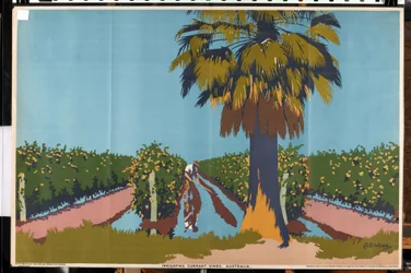 Irrigating Currant Vines - Australia (farge litho)