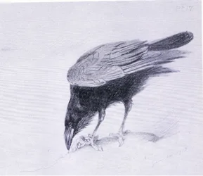 Raven, pub. av Book Club Associates