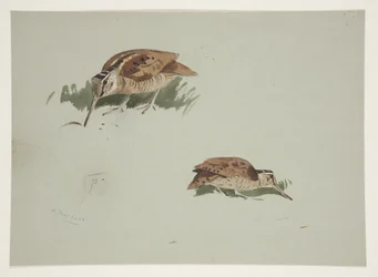 To vignetter av morkuller, ca. 1915