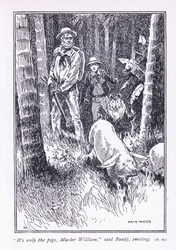 Det er bare grisene, mester William, sa Ready, 1900-tallet
