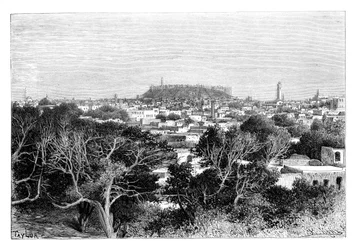 Aleppo, Syria, 1895.