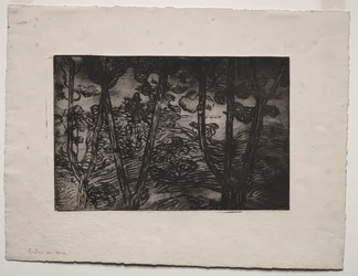 Trær om natten, ca. 1894.